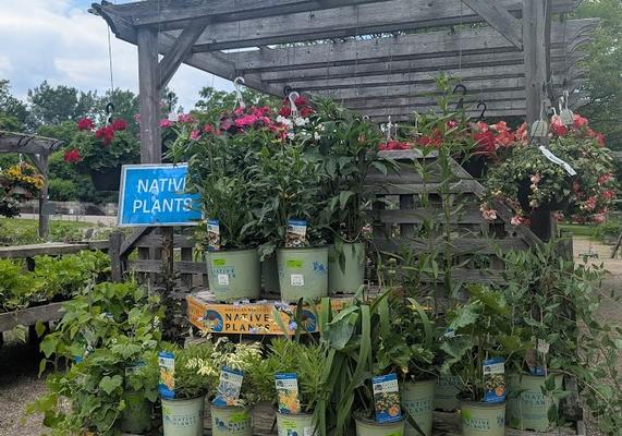 Gardener's Supply - Greenland, NH