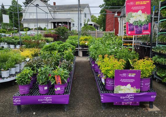 Randalls Farm & Greenhouse - Ludlow, MA