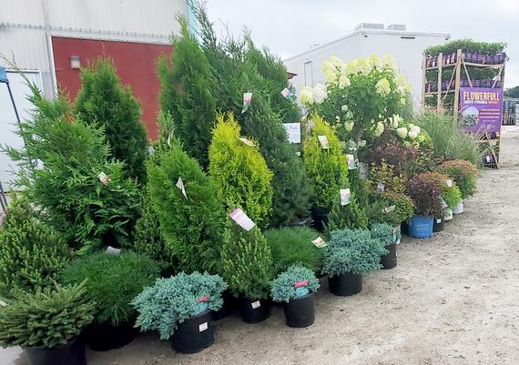 Brand displays-Cromwell, Suffield, and Ledyard location