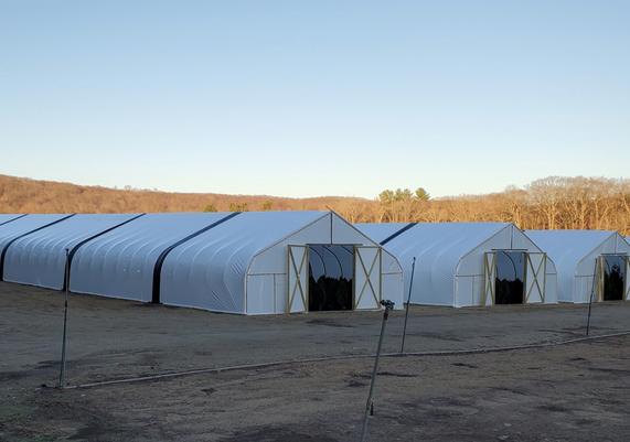 Ledyard Greenhouse