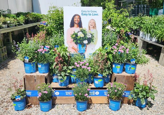 Sunny Valley Farms - Amherst, NH