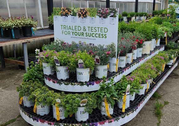 Busy Bee Nursery - Holden, MA