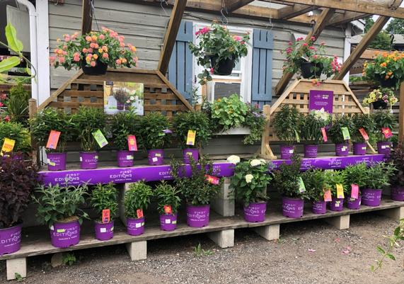 Wildwood Nursery & Garden Center - East Greenwich, RI