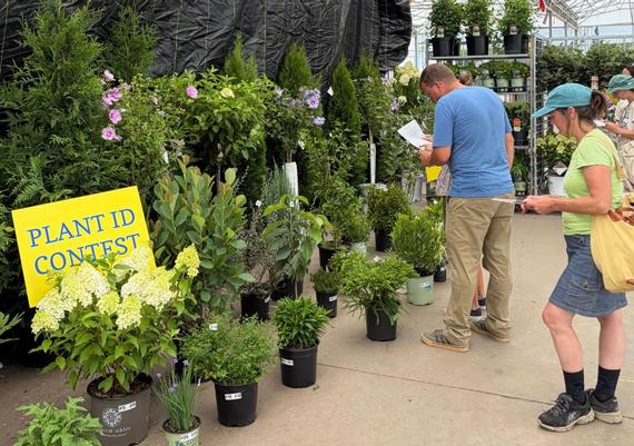 Plant ID contest