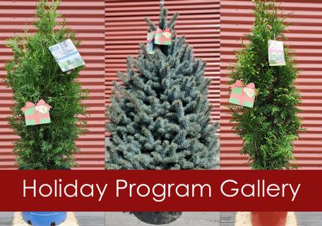 Holiday Program Gallery - 2025
