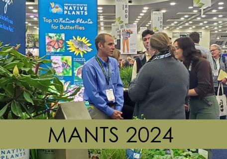 MANTS 2024