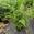 View Current Crop Photo