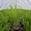 View Current Crop Photo