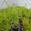 View Current Crop Photo