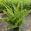 View Current Crop Photo