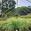 View Current Crop Photo