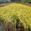 View Current Crop Photo