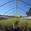 View Current Crop Photo