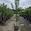 View Current Crop Photo