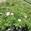 View Current Crop Photo