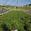 View Current Crop Photo