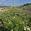 View Current Crop Photo