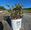 View Current Crop Photo