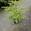 View Current Crop Photo