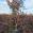 View Current Crop Photo