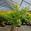 View Current Crop Photo