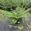 View Current Crop Photo