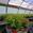 View Current Crop Photo