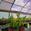 View Current Crop Photo