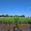 View Current Crop Photo