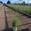 View Current Crop Photo