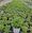 View Current Crop Photo