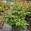 View Current Crop Photo