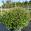 View Current Crop Photo