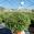 View Current Crop Photo