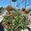 View Current Crop Photo
