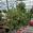 View Current Crop Photo