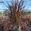 View Current Crop Photo