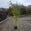 View Current Crop Photo