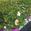 View Current Crop Photo