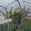 View Current Crop Photo