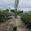 View Current Crop Photo