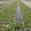 View Current Crop Photo