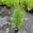 View Current Crop Photo