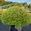 View Current Crop Photo