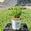 View Current Crop Photo