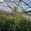View Current Crop Photo